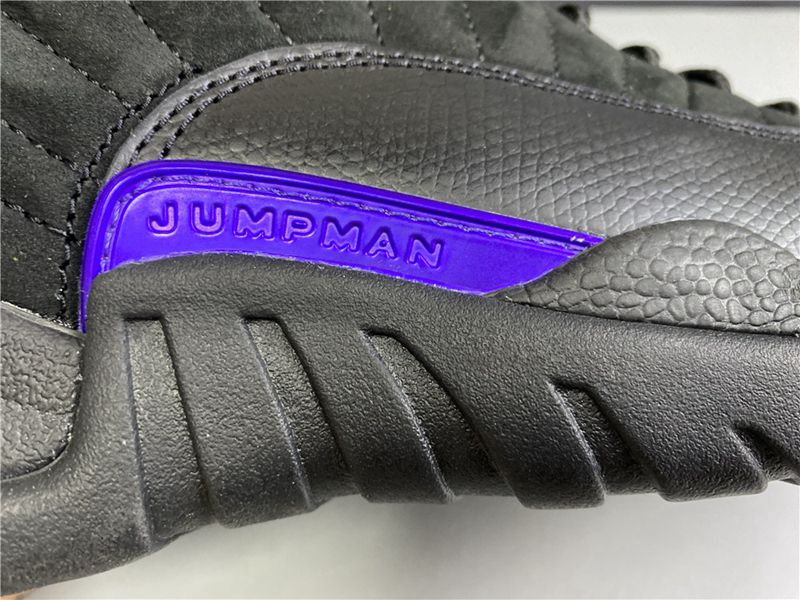 Air Jordan 12 Dark Concord(CT8013-005)